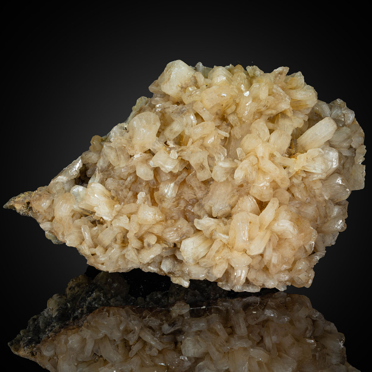 Stellerite