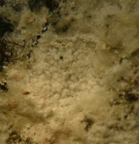 Callaghanite & Hydromagnesite