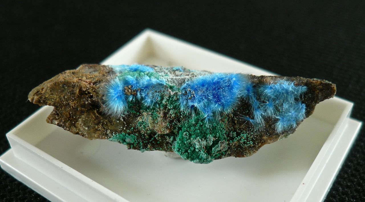Cyanotrichite & Malachite