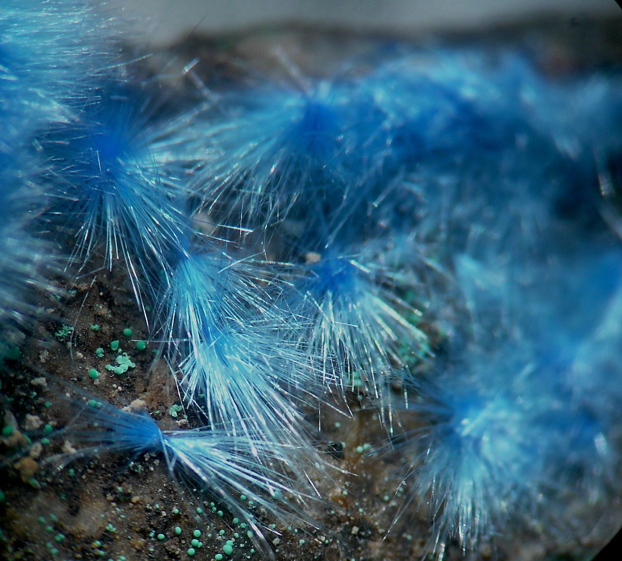 Cyanotrichite & Malachite