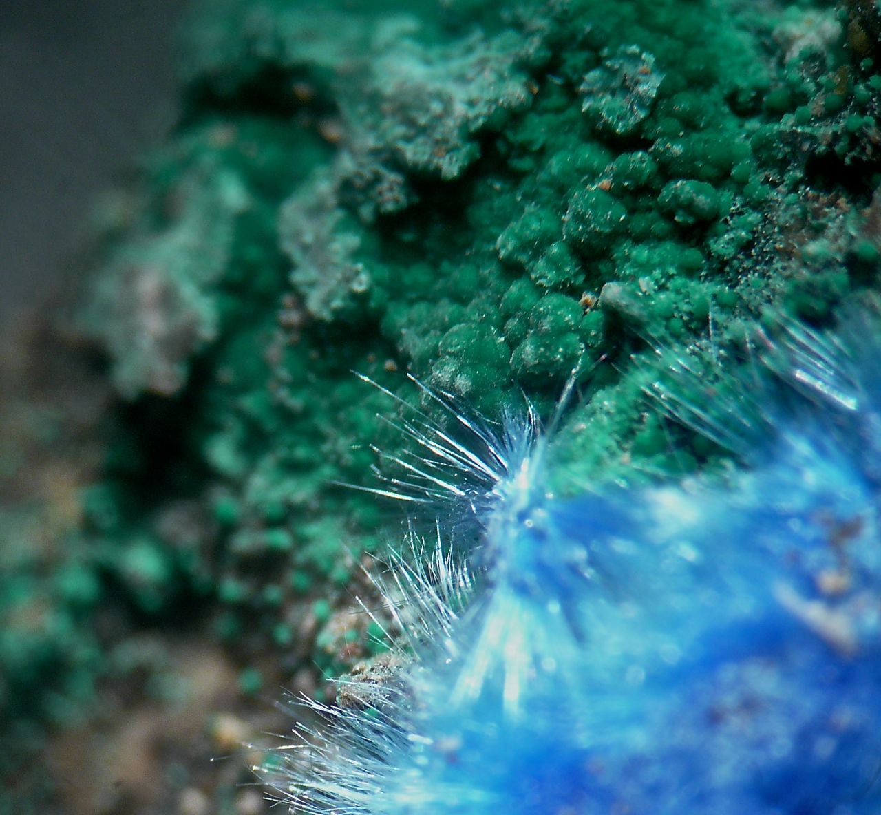 Cyanotrichite & Malachite