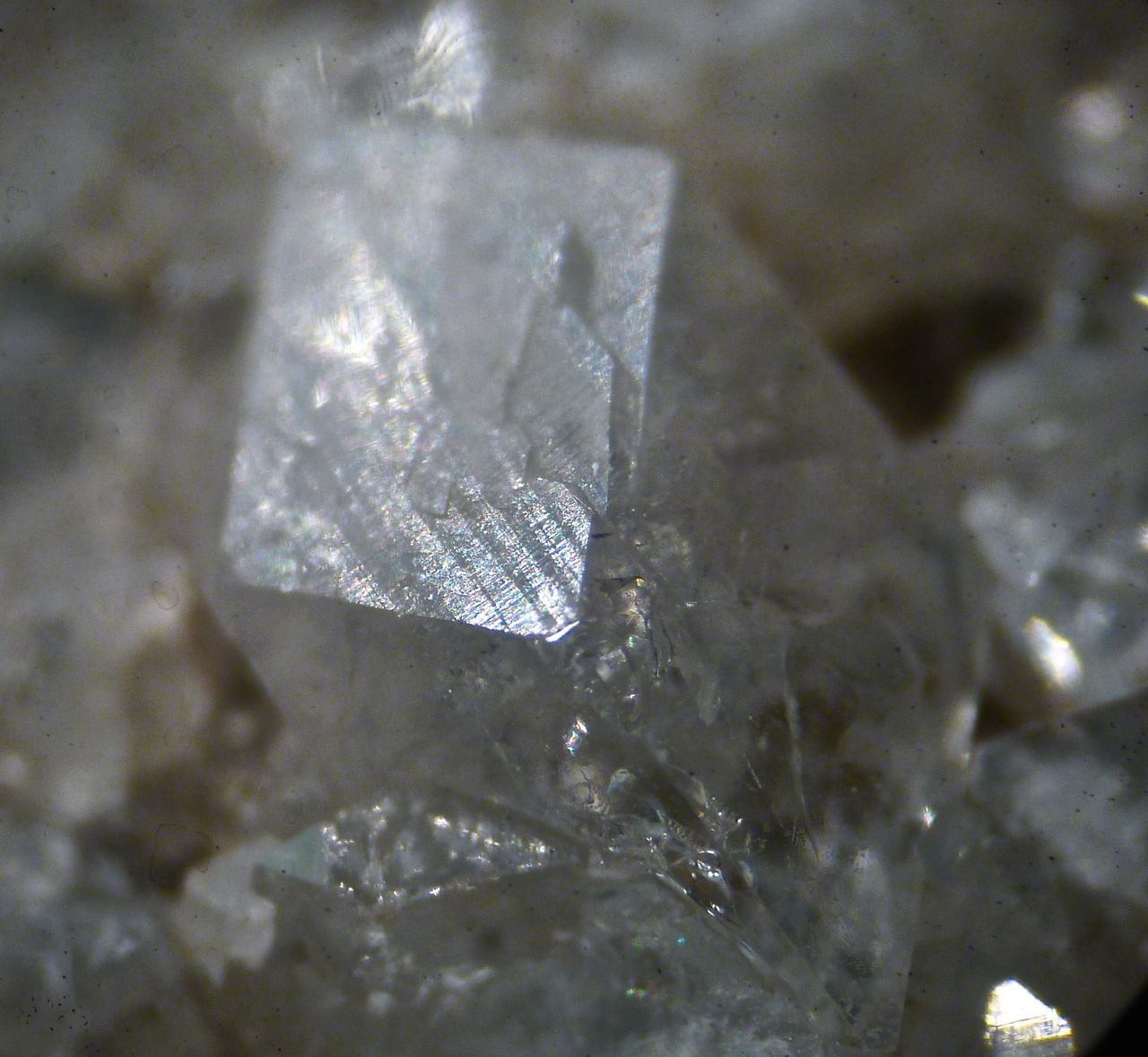 Apophyllite