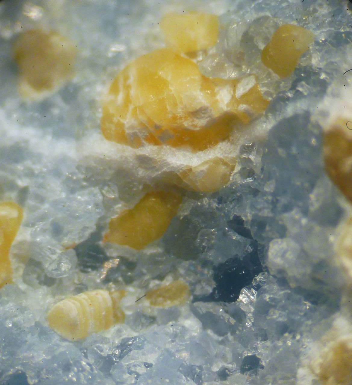 Fluorellestadite & Tobermorite