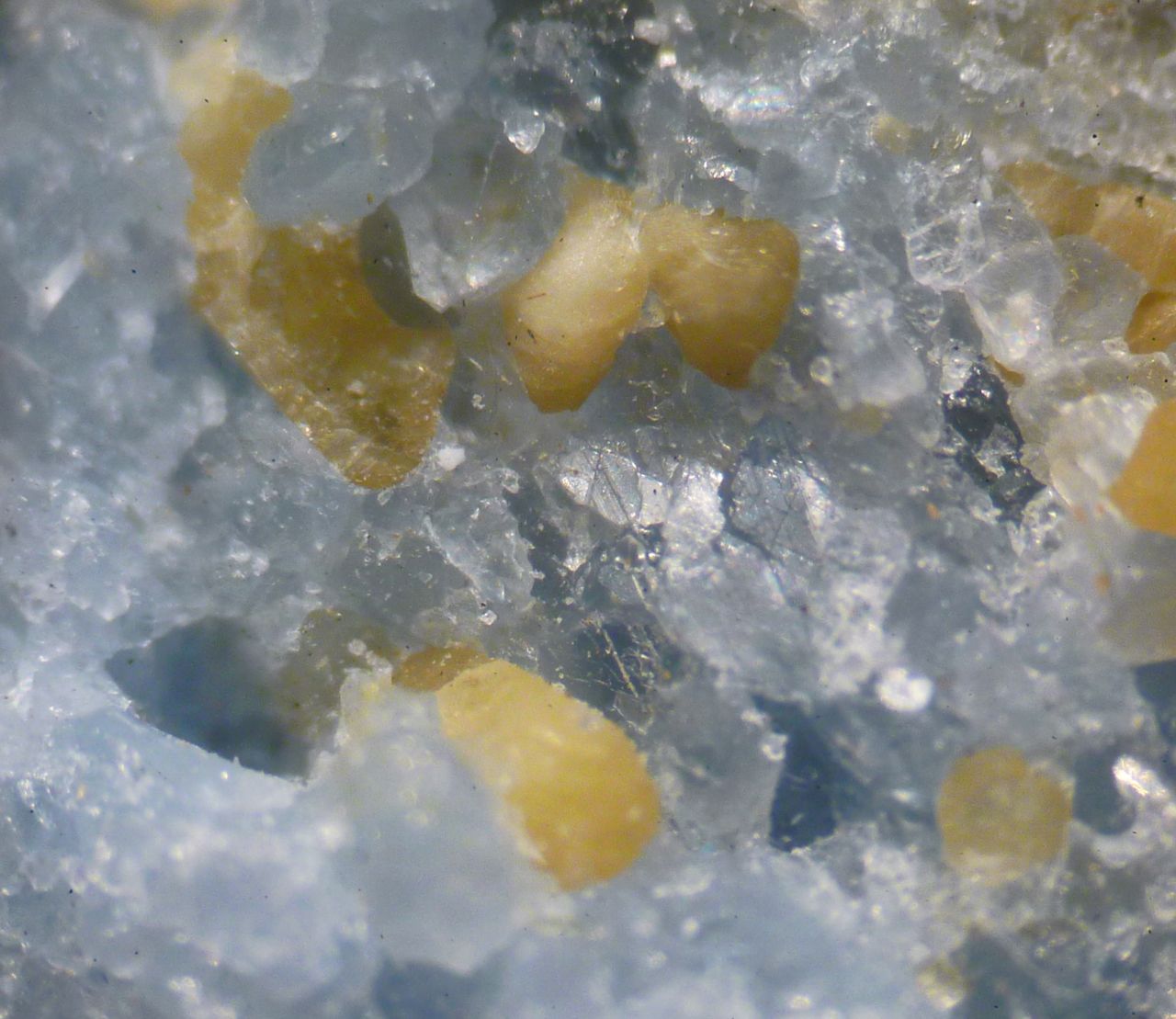 Fluorellestadite & Tobermorite