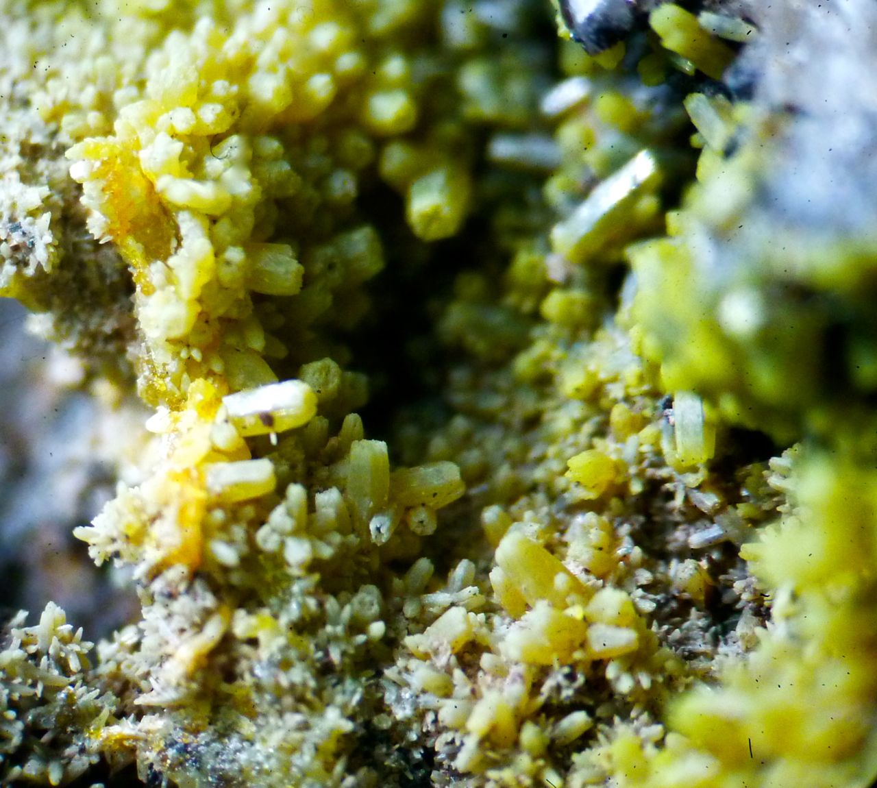 Pyromorphite & Coronadite