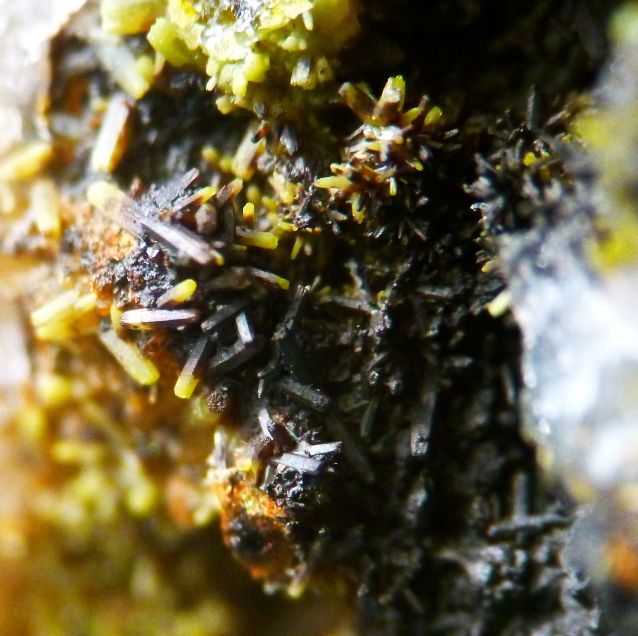 Pyromorphite & Coronadite