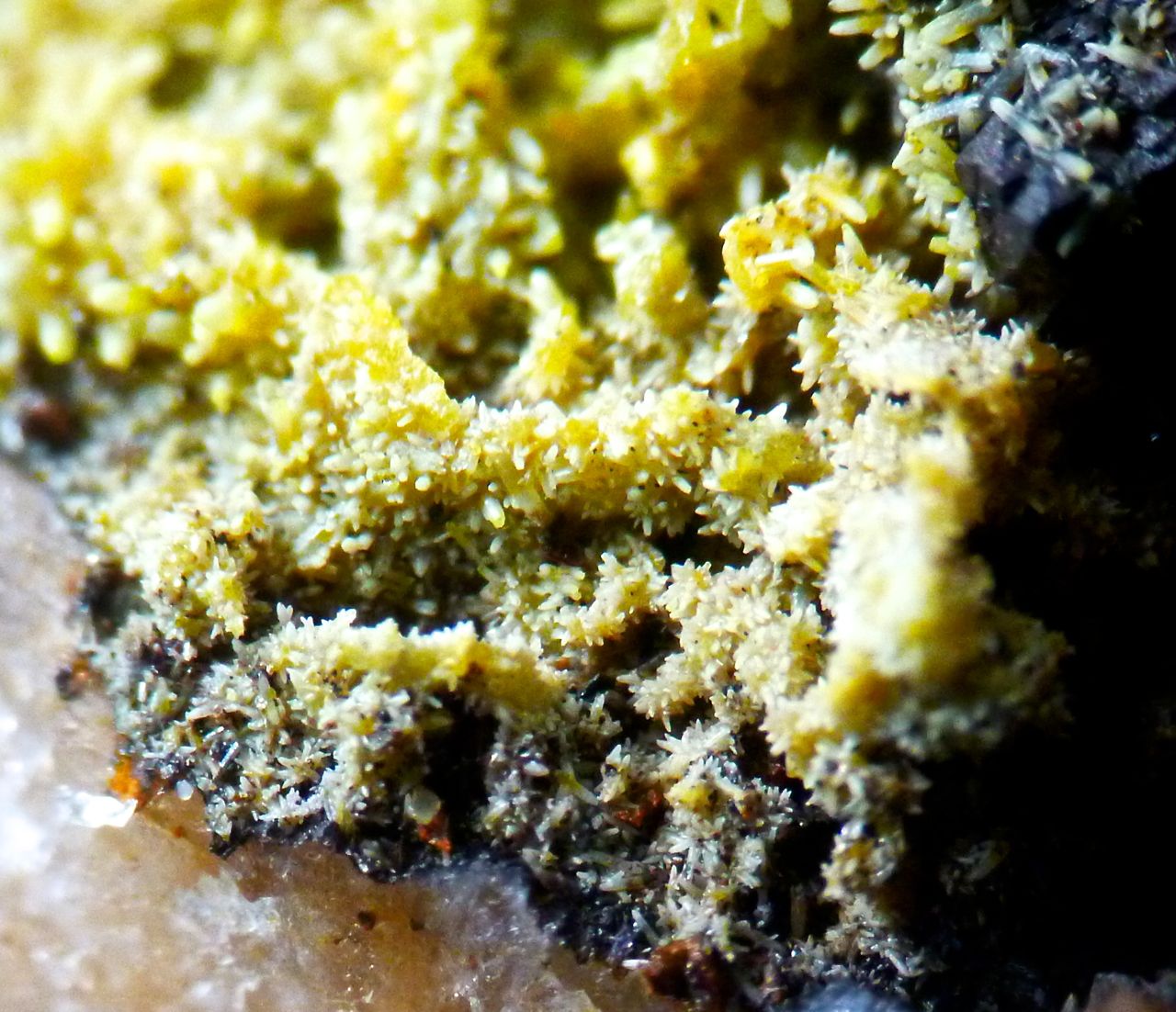 Pyromorphite & Coronadite