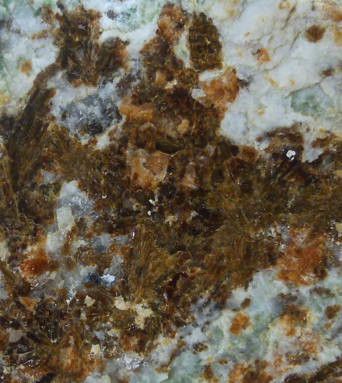 Vesuvianite Grossular & Wollastonite