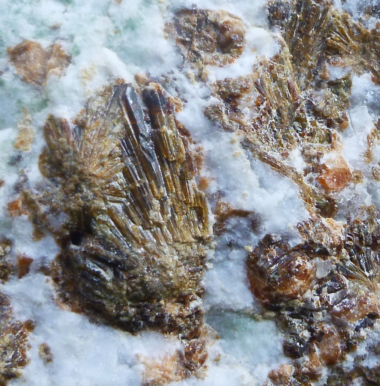 Vesuvianite Grossular & Wollastonite