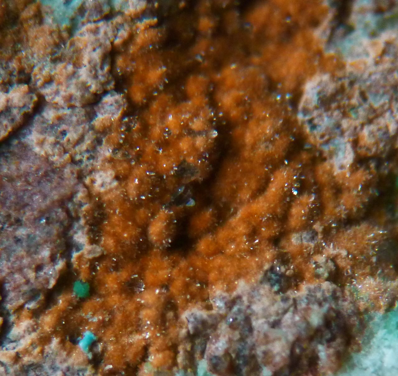 Apachite Gilalite & Ruizite