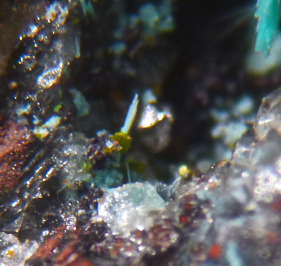 Chrysocolla Duhamelite & Shattuckite