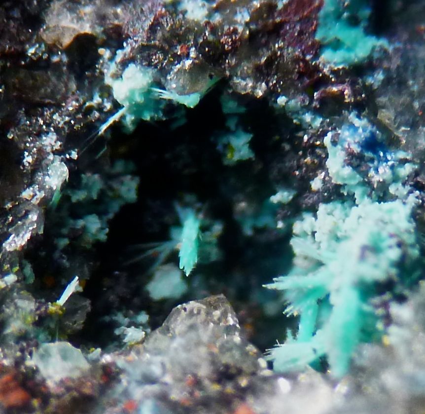 Chrysocolla Duhamelite & Shattuckite