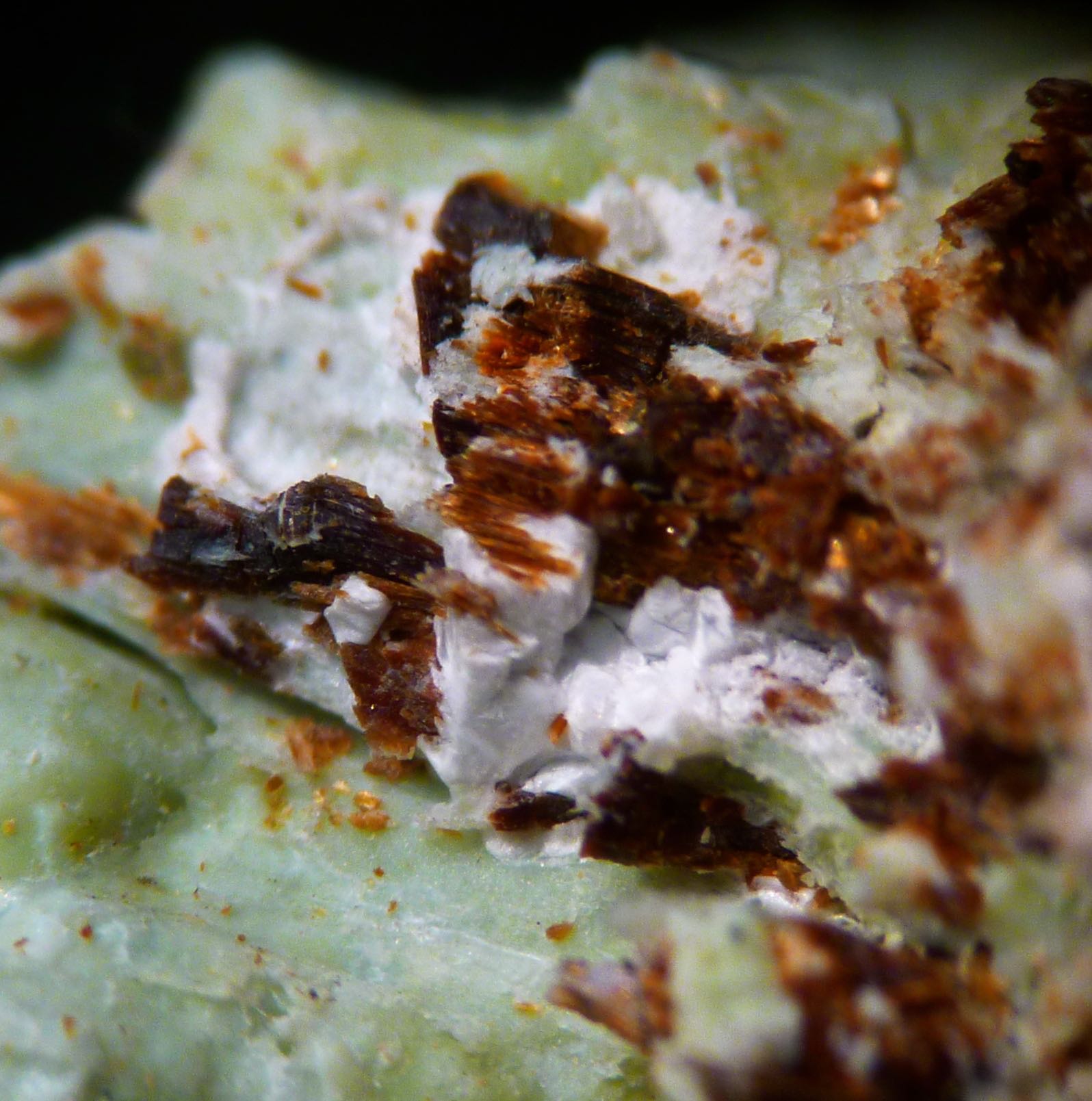Pyroaurite & Serpentine