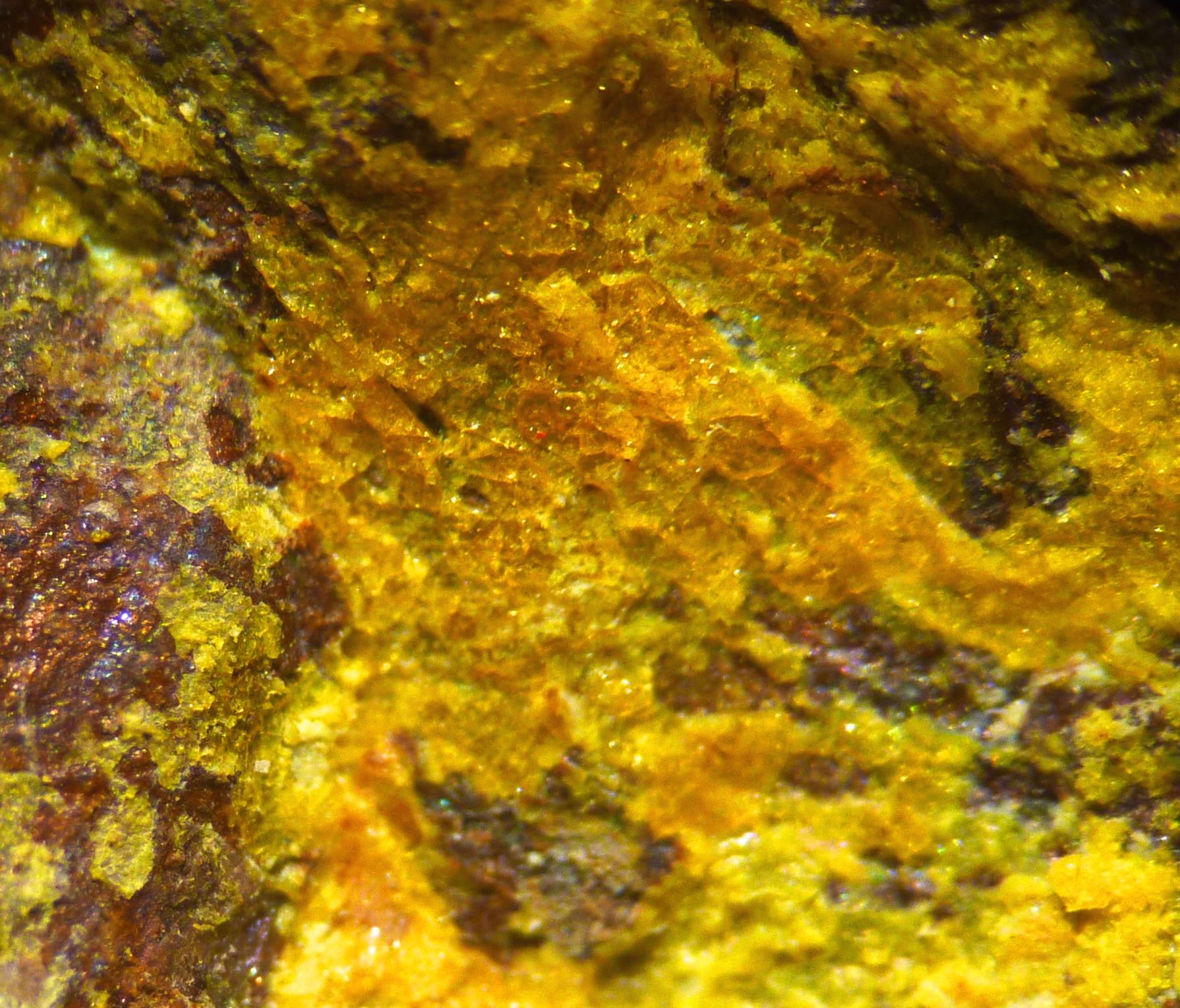Schoderite & Vashegyite
