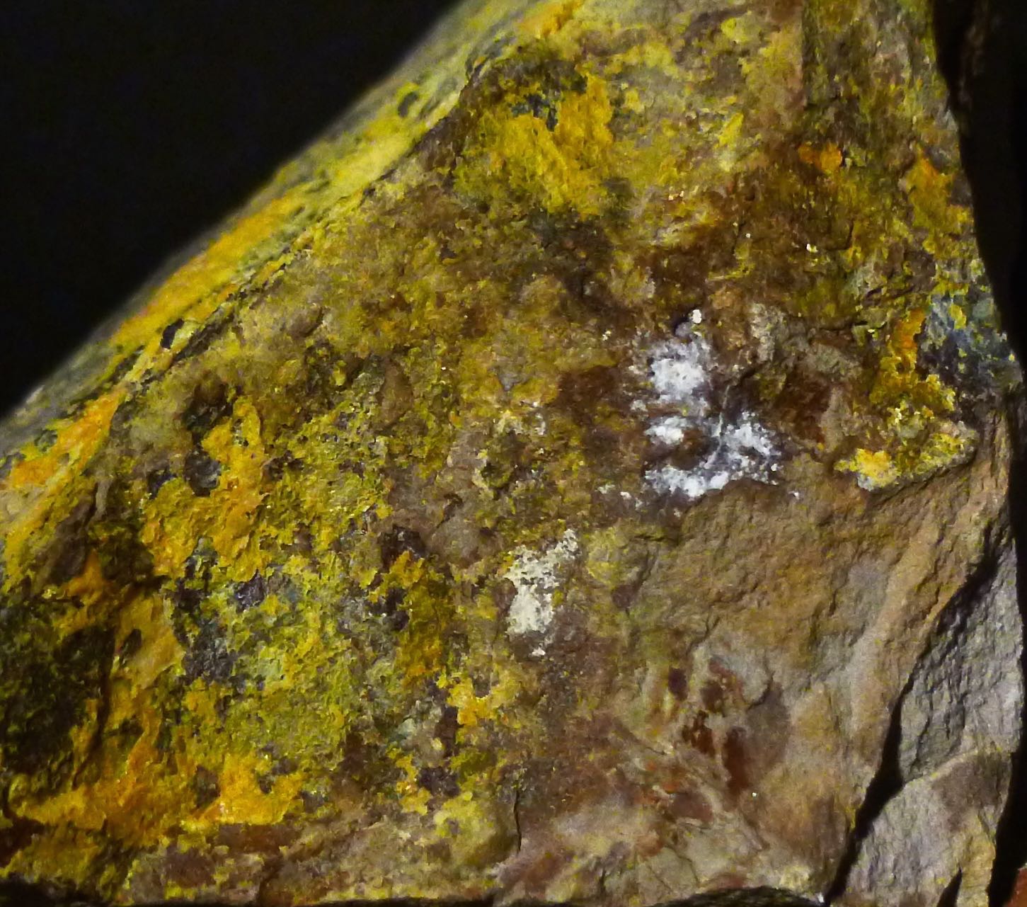 Schoderite & Vashegyite