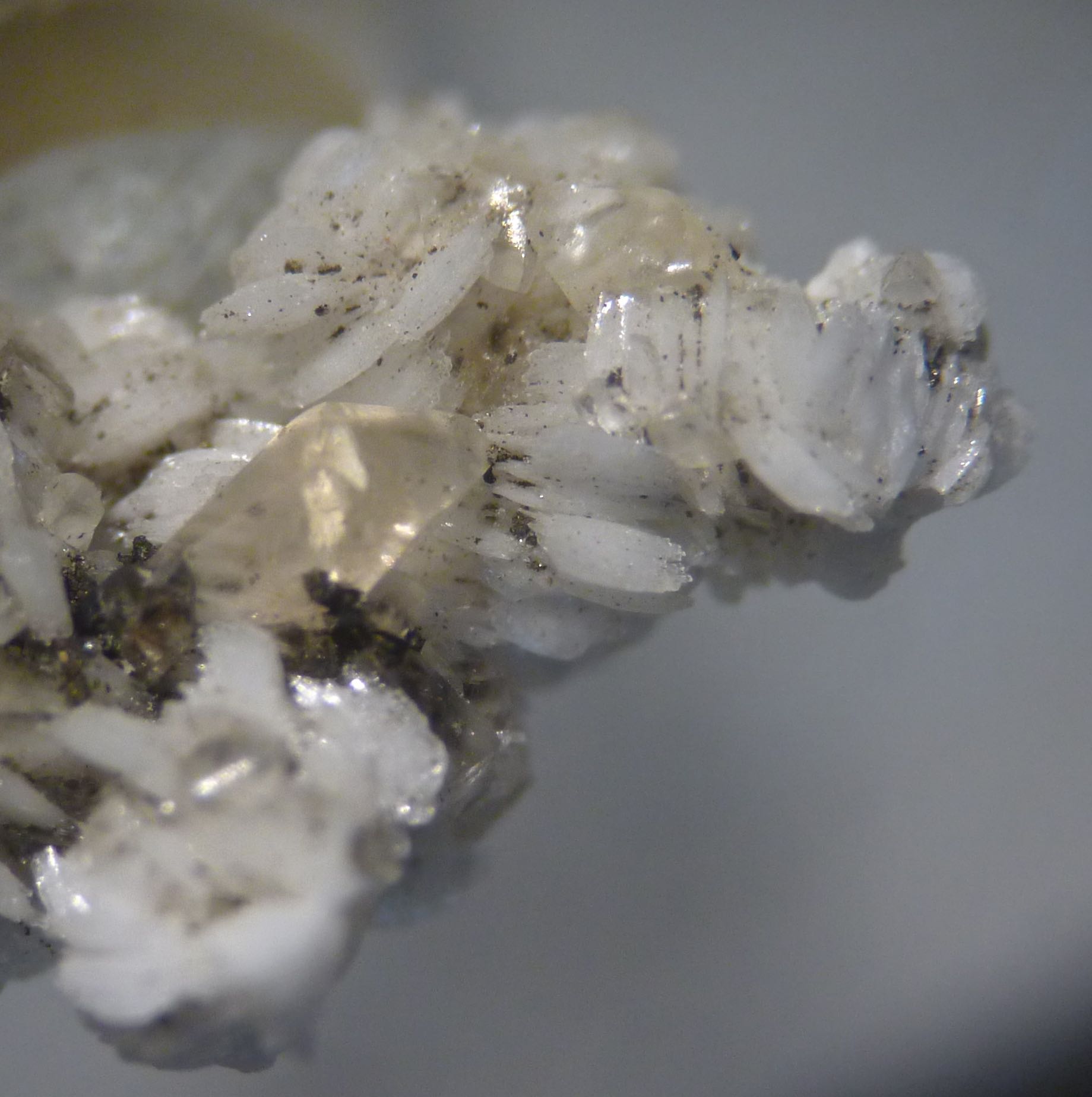 Baryte & Calcite