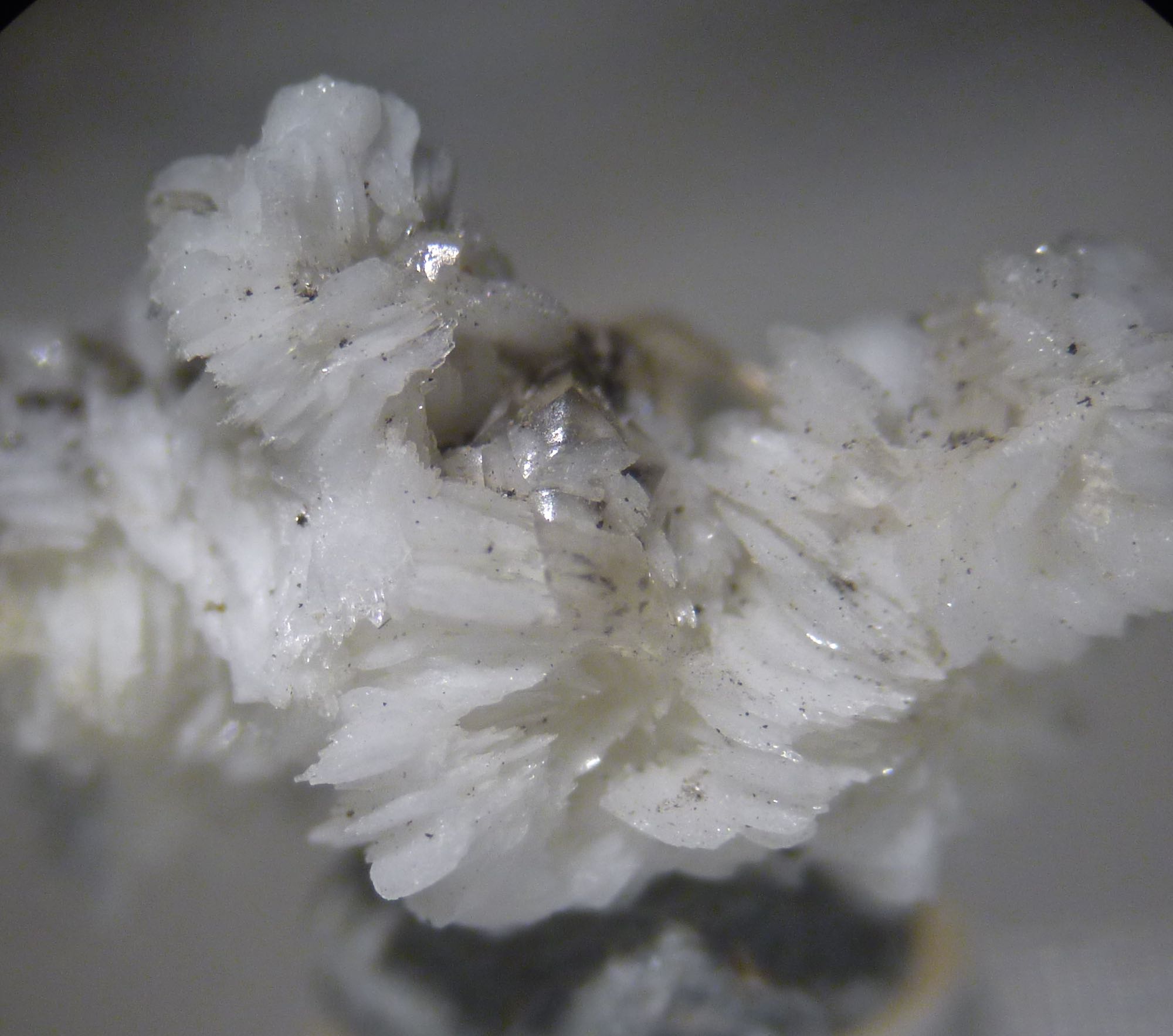Baryte & Calcite