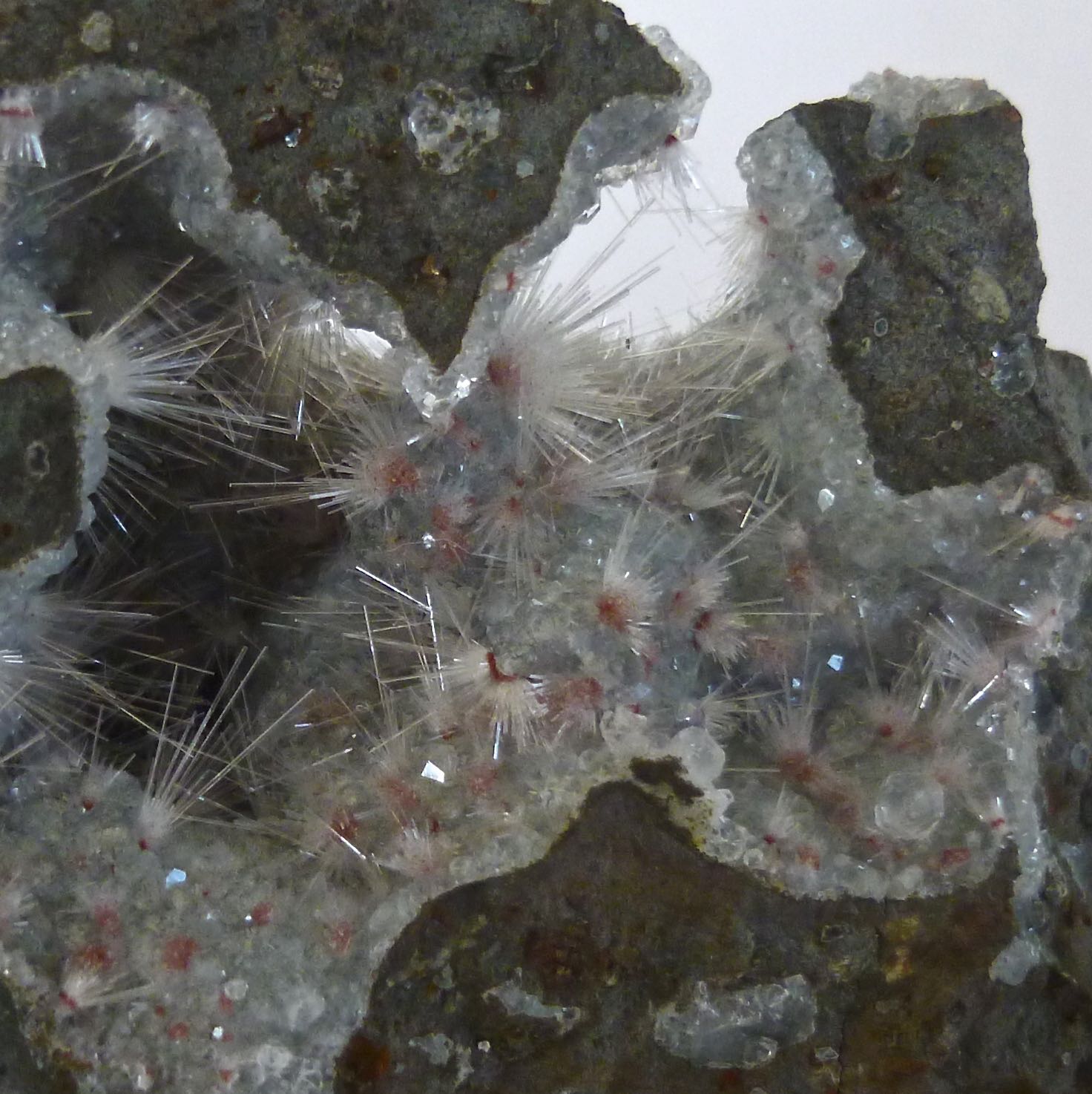 Natrolite & Analcime