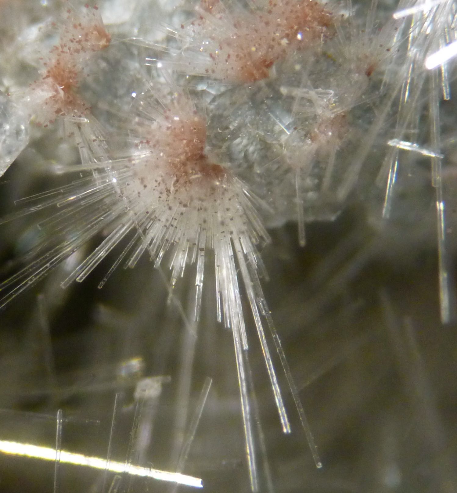 Natrolite & Analcime