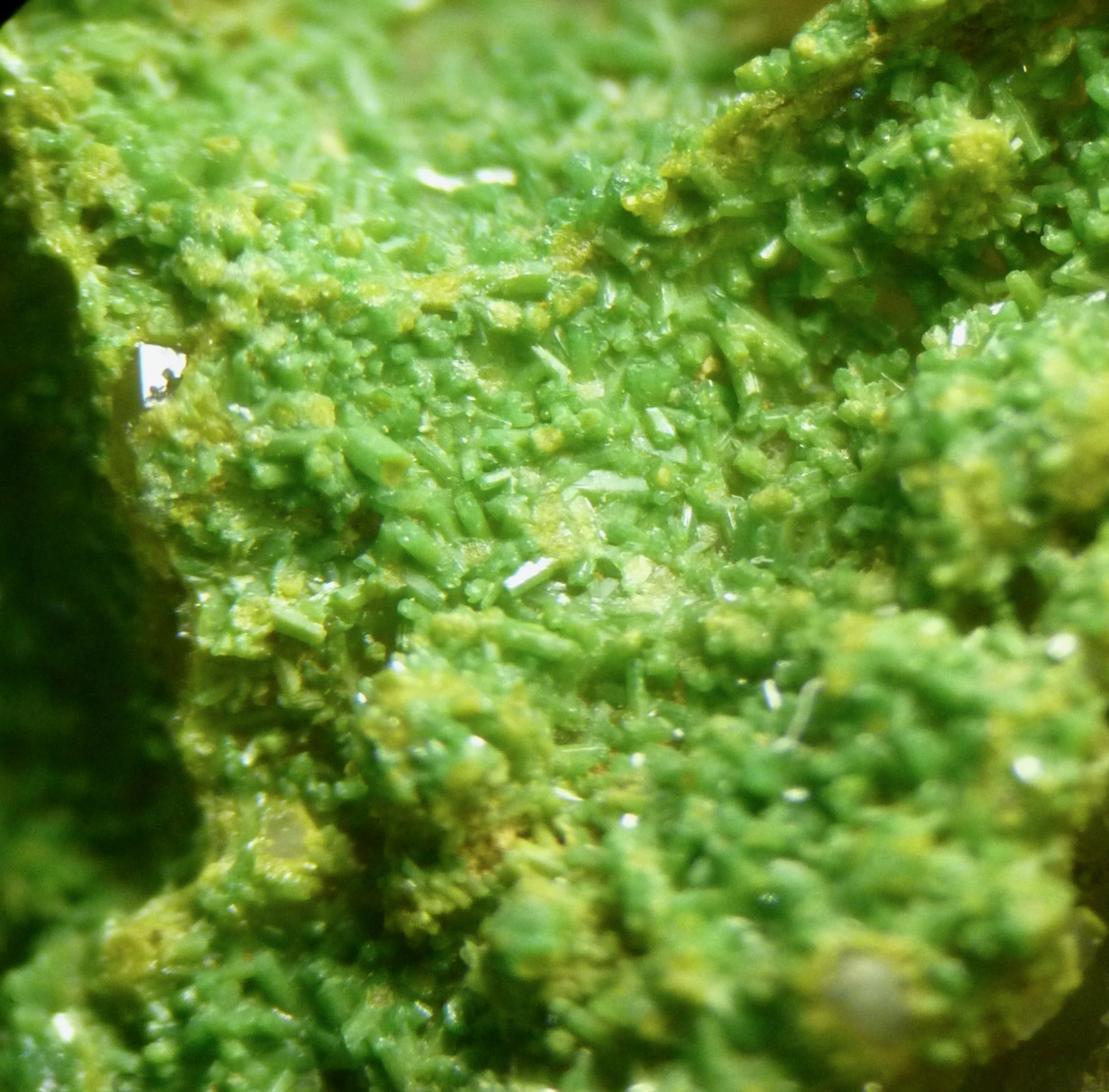 Pyromorphite