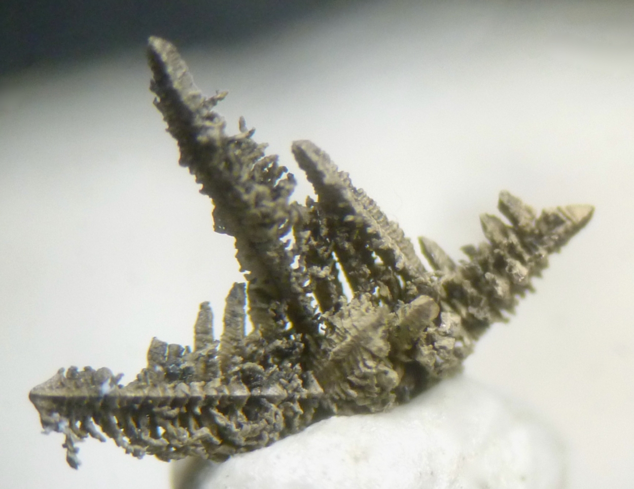 Native Silver