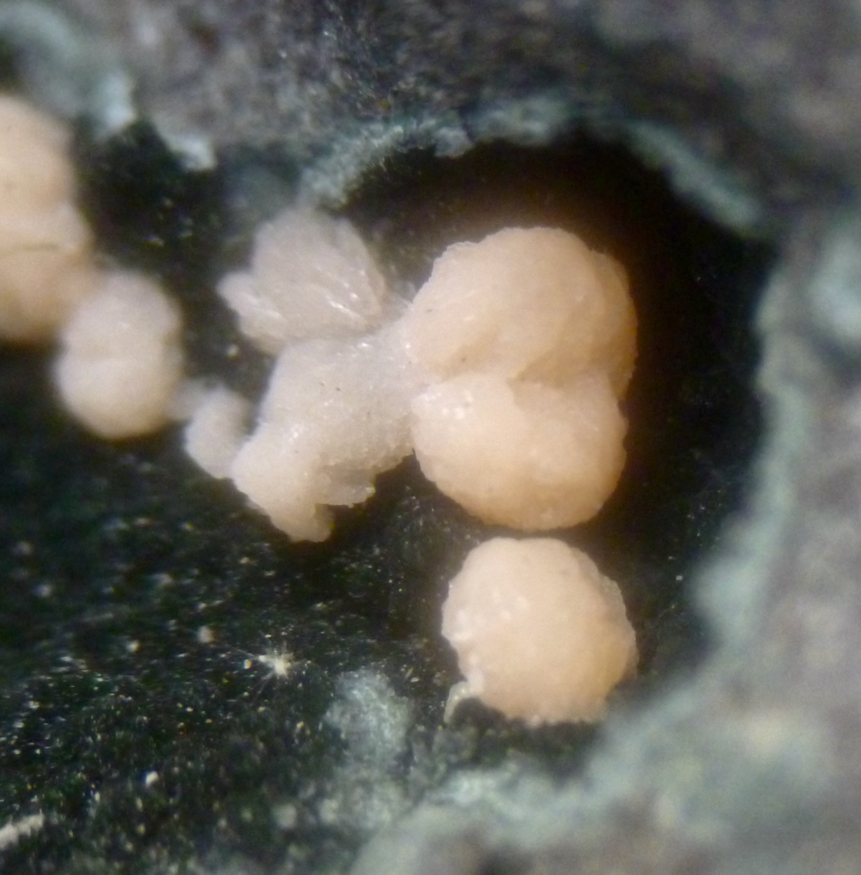 Albite & Chlorite
