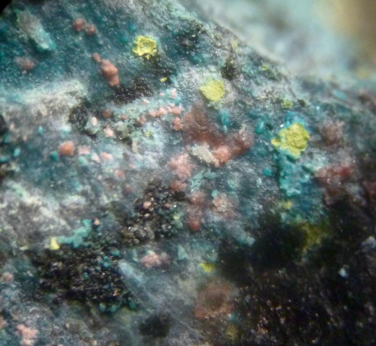 Erythrite & Langite
