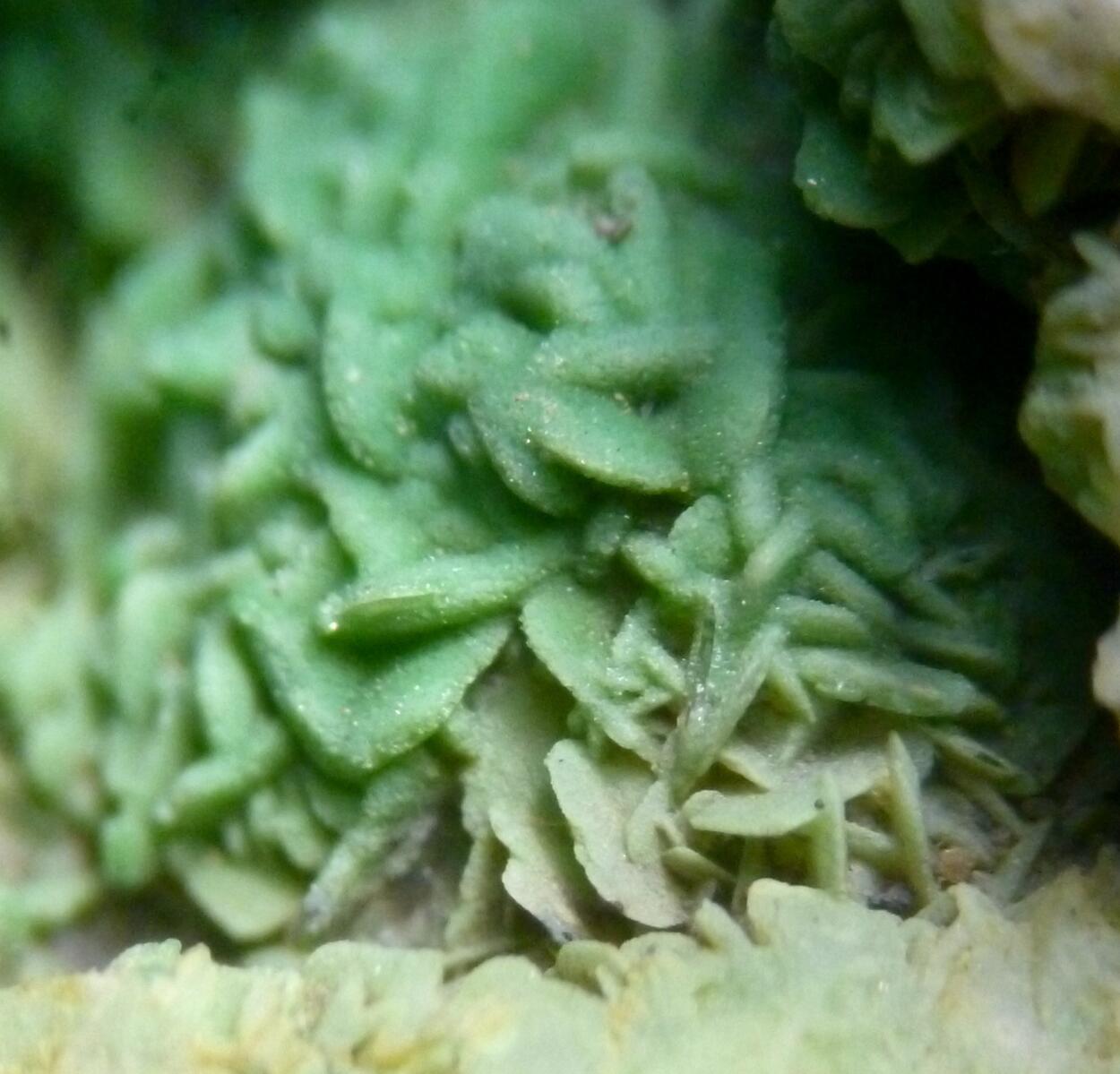 Pyromorphite & Baryte