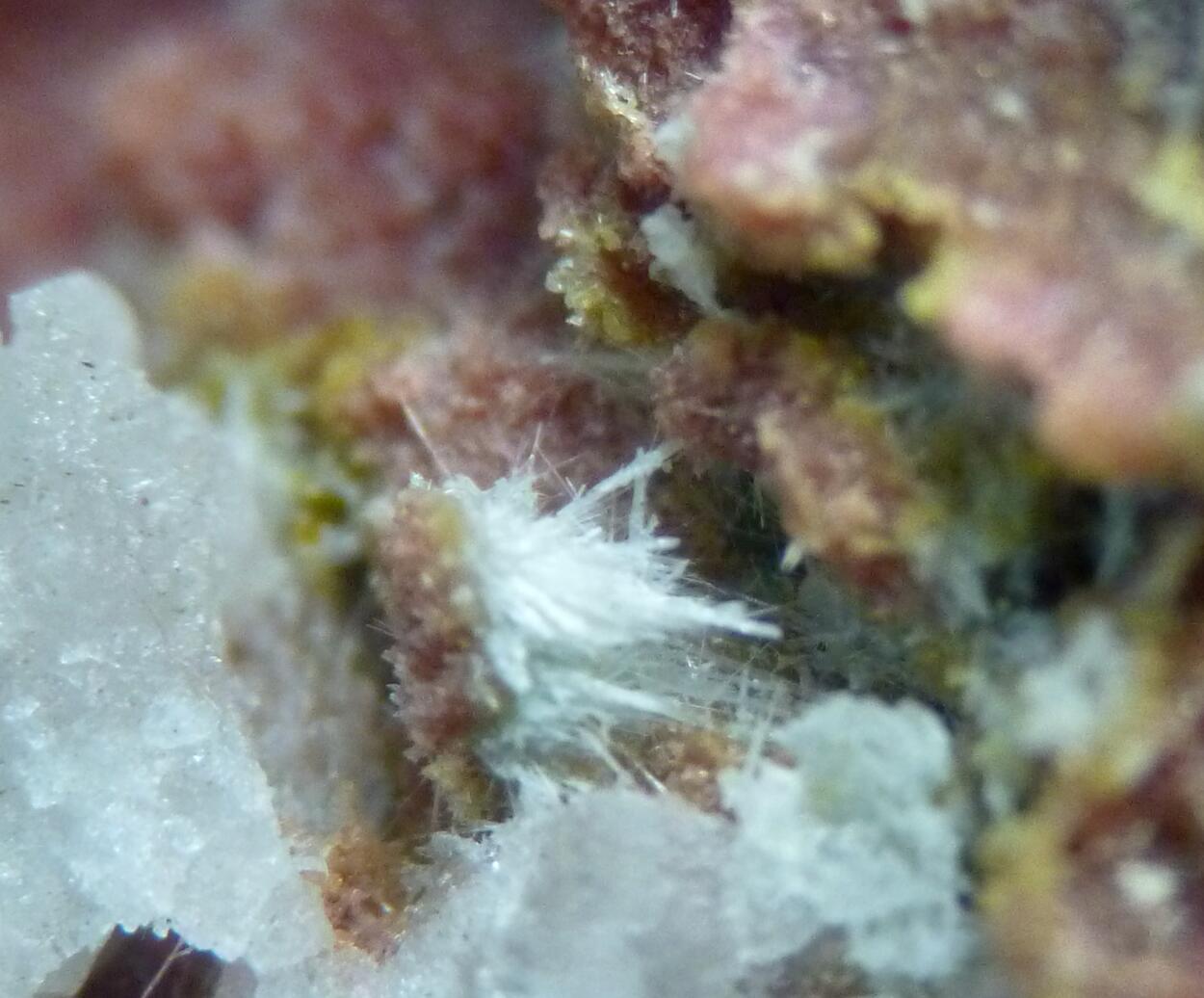 Epidote Var Withamite & Tremolite