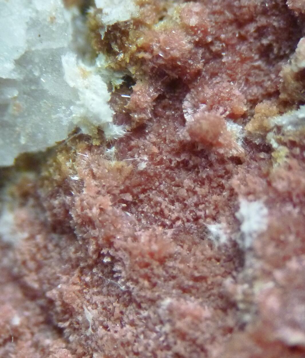 Epidote Var Withamite & Tremolite