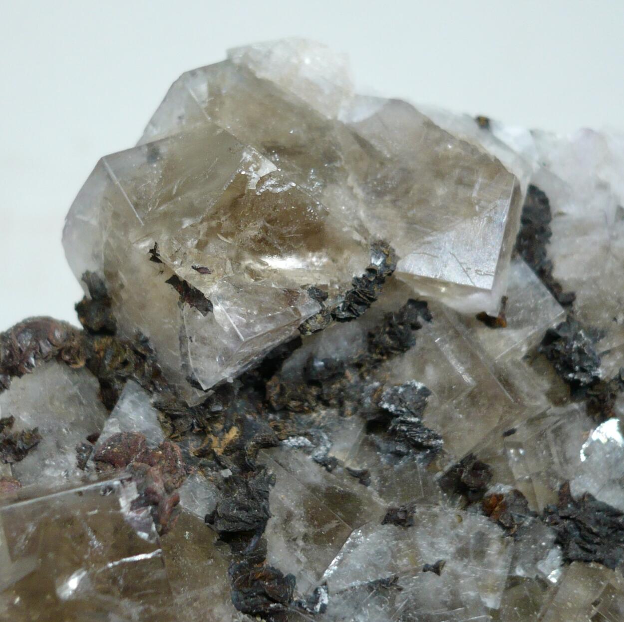 Fluorite & Siderite