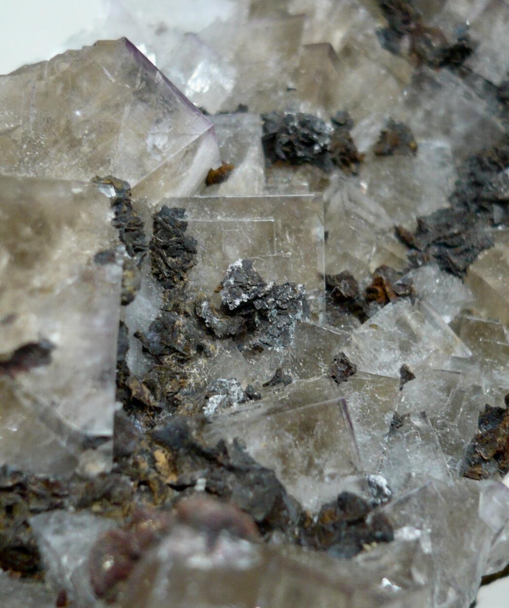 Fluorite & Siderite