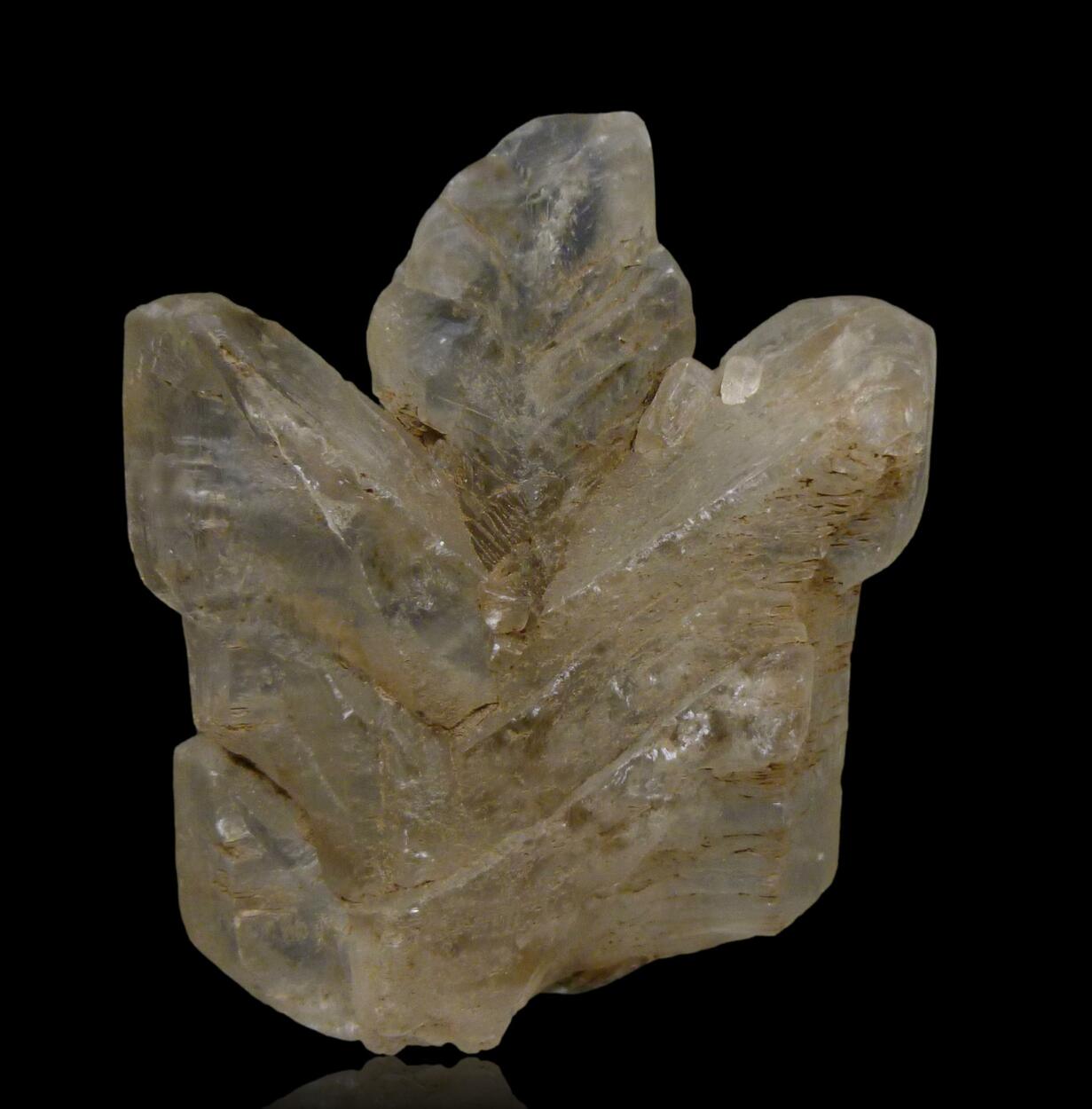 Gypsum