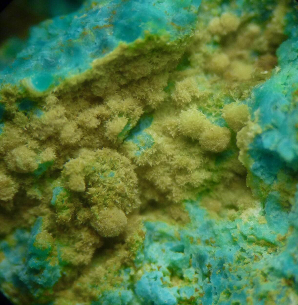 Pyromorphite Cerussite Chrysocolla & Malachite