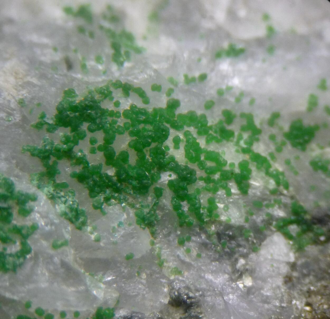 Bayldonite