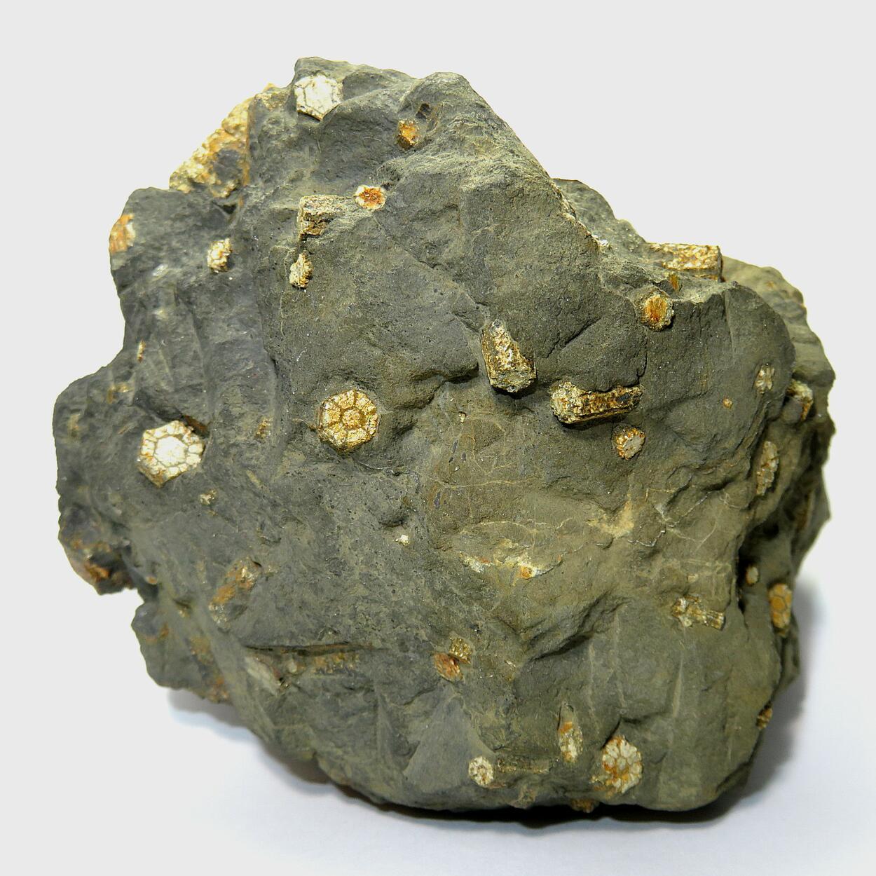Cherry Blossom Stone