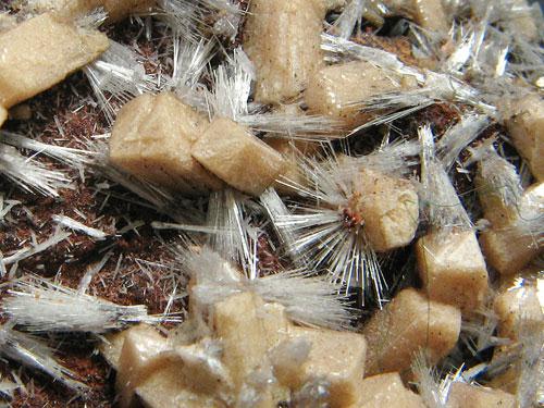 Olmiite & Bultfonteinite
