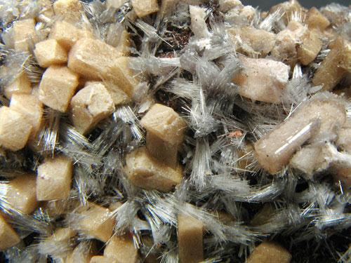 Olmiite & Bultfonteinite