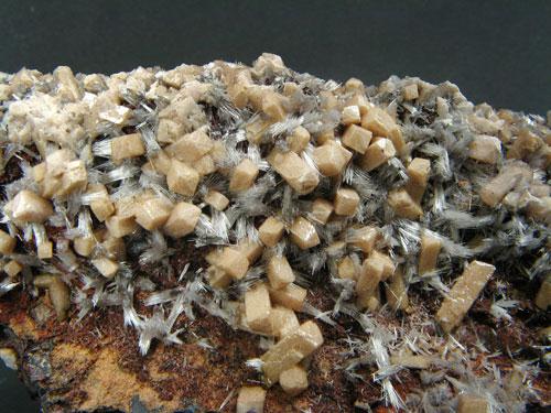 Olmiite & Bultfonteinite