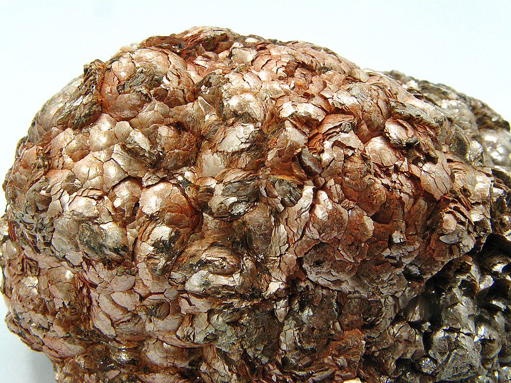 Muscovite