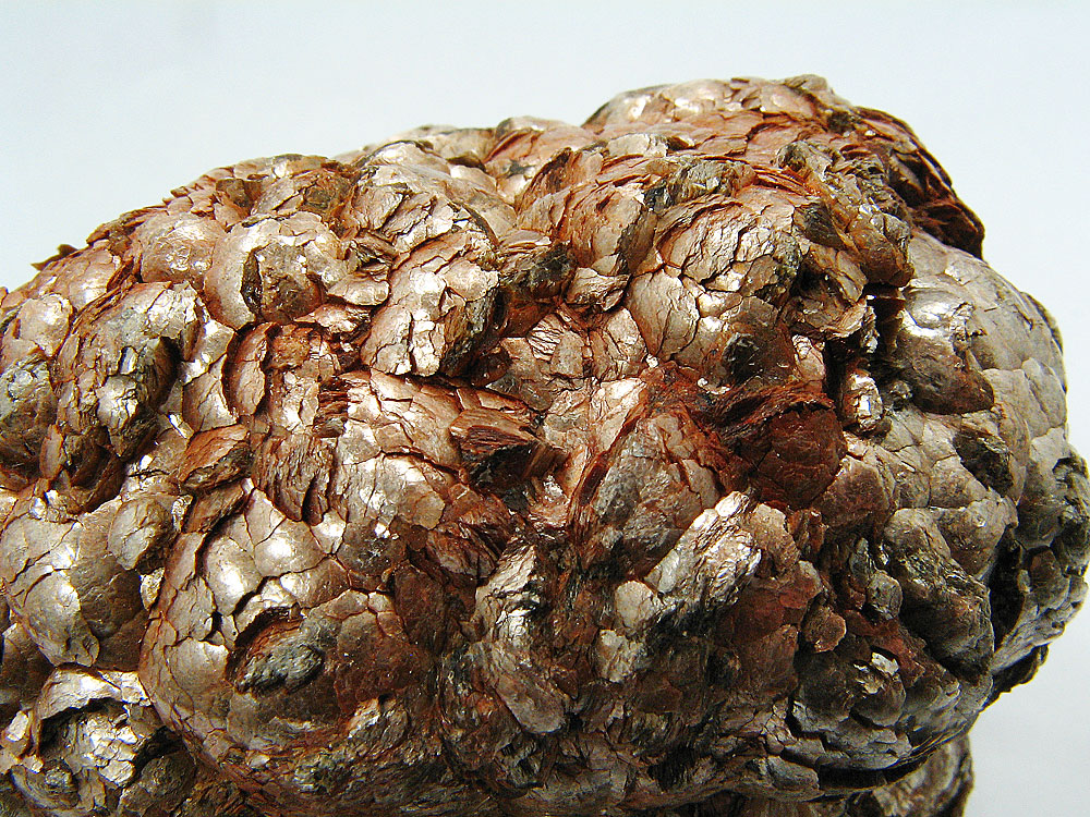 Muscovite