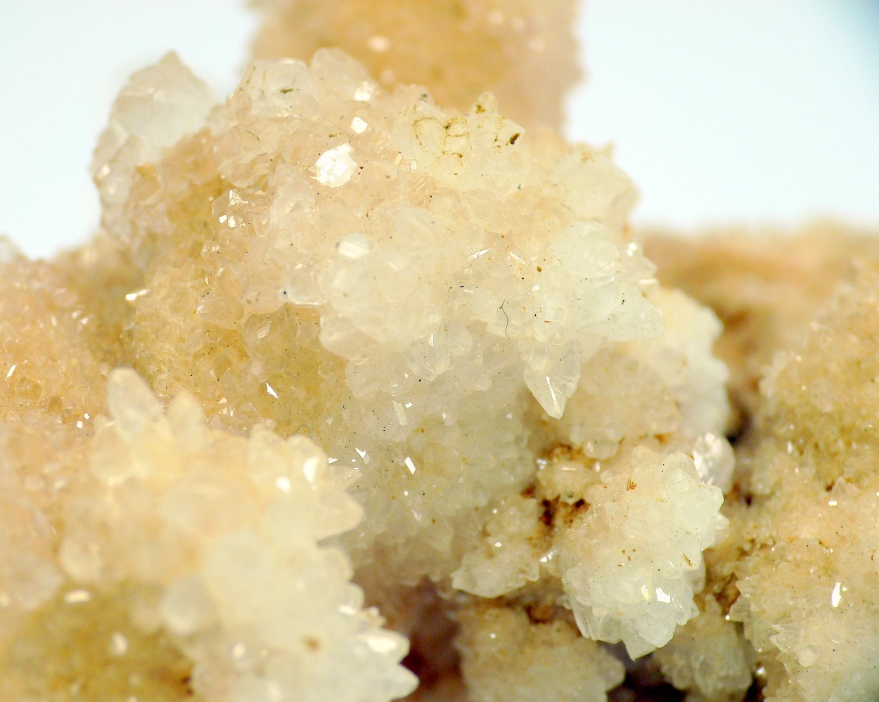 Aragonite