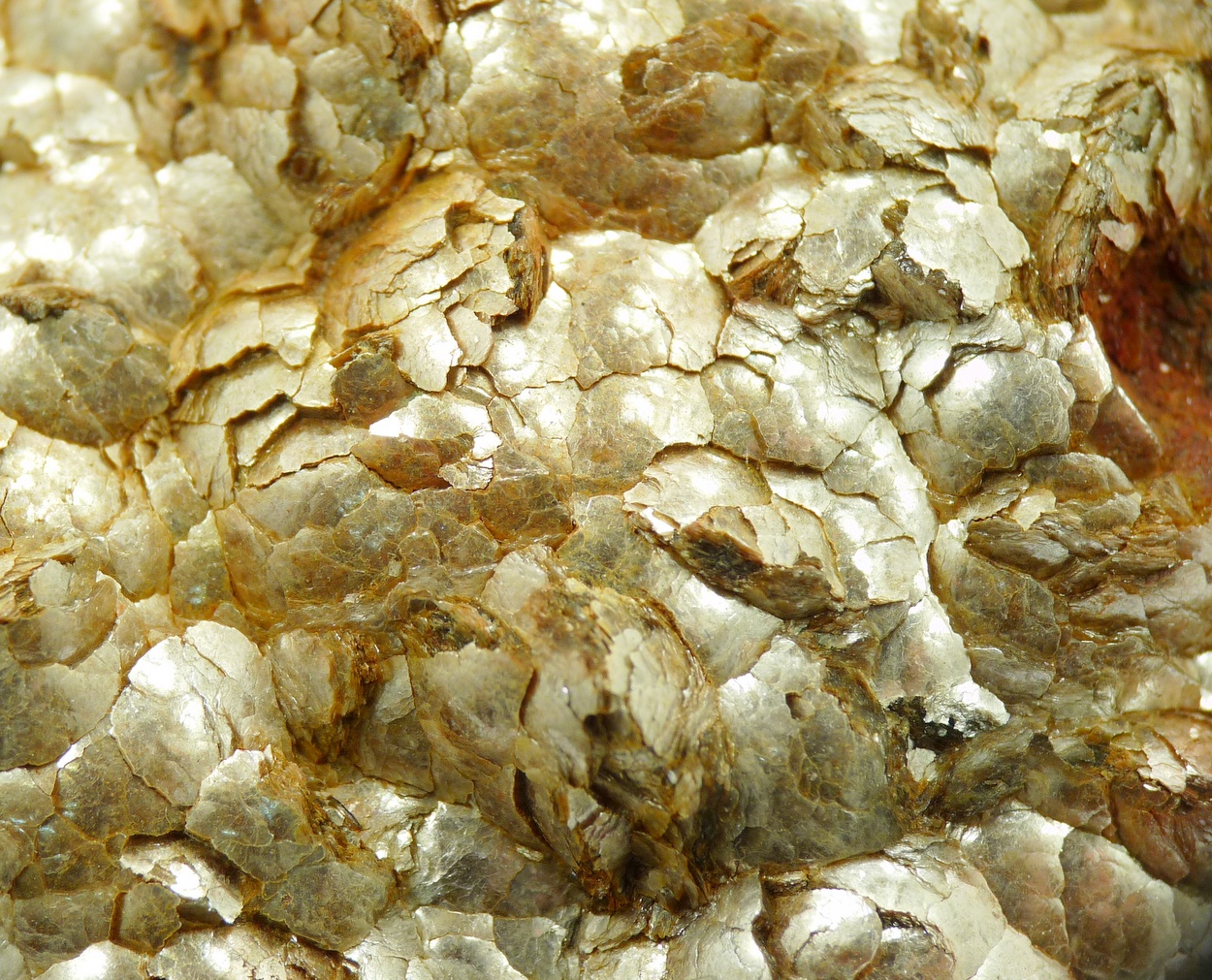 Muscovite Var Botryoidal