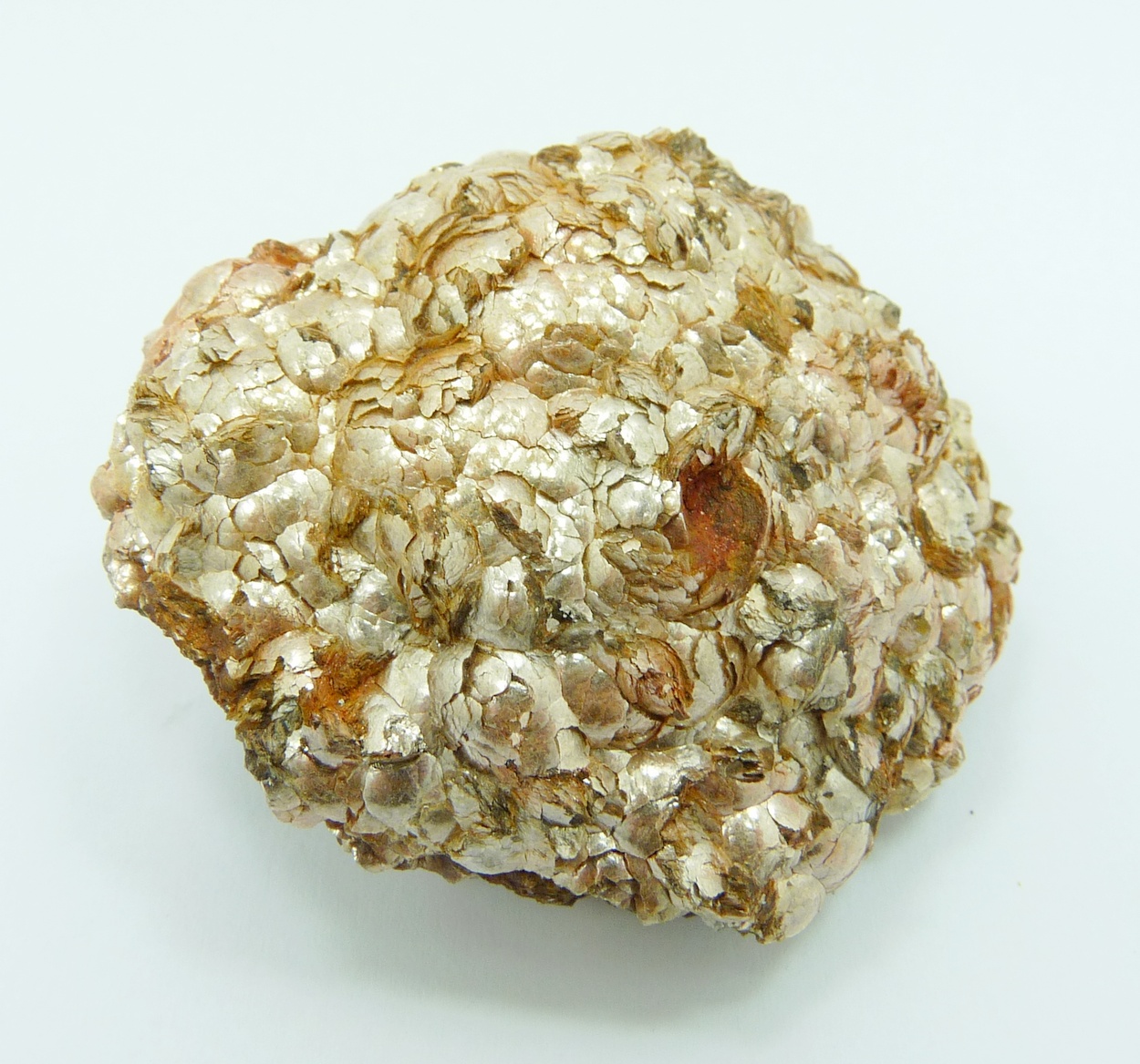 Muscovite Var Botryoidal