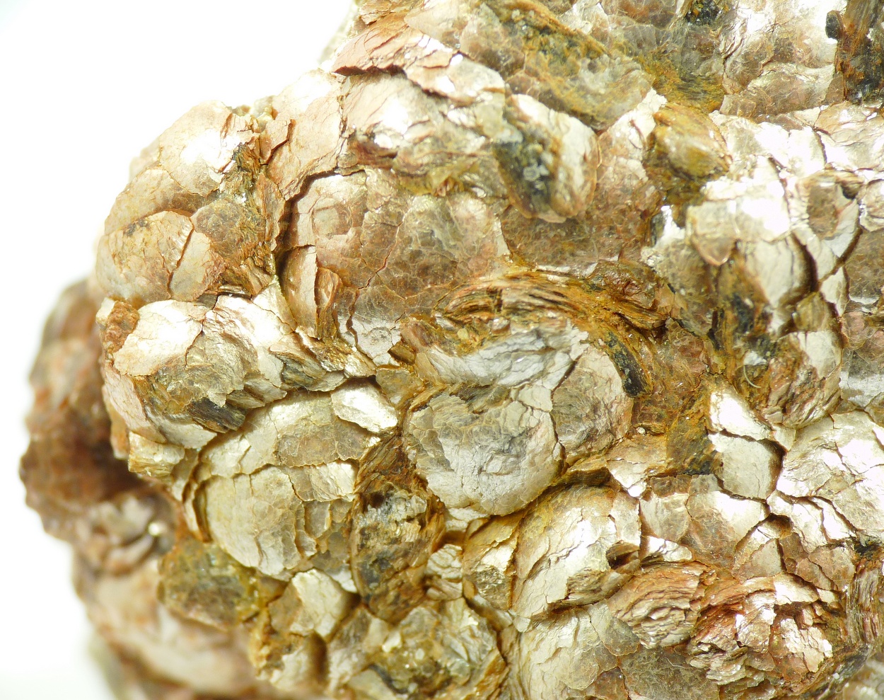 Muscovite Var Botryoidal