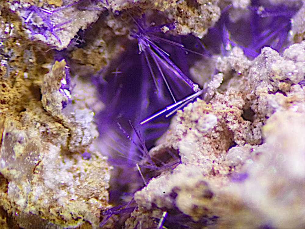 Elyite