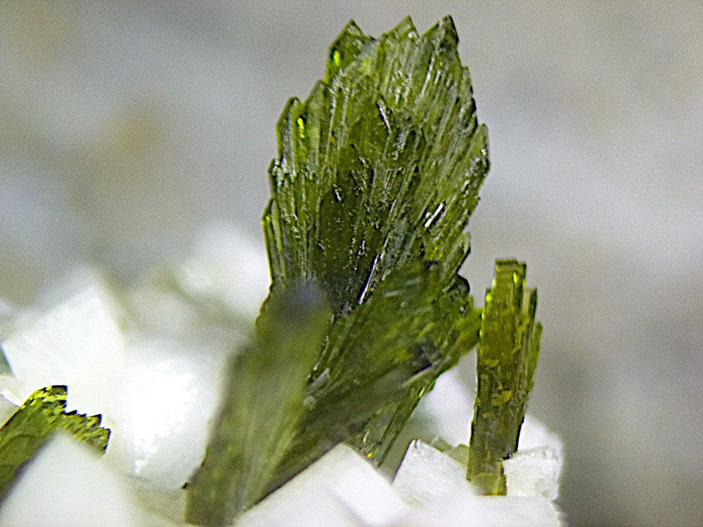Epidote