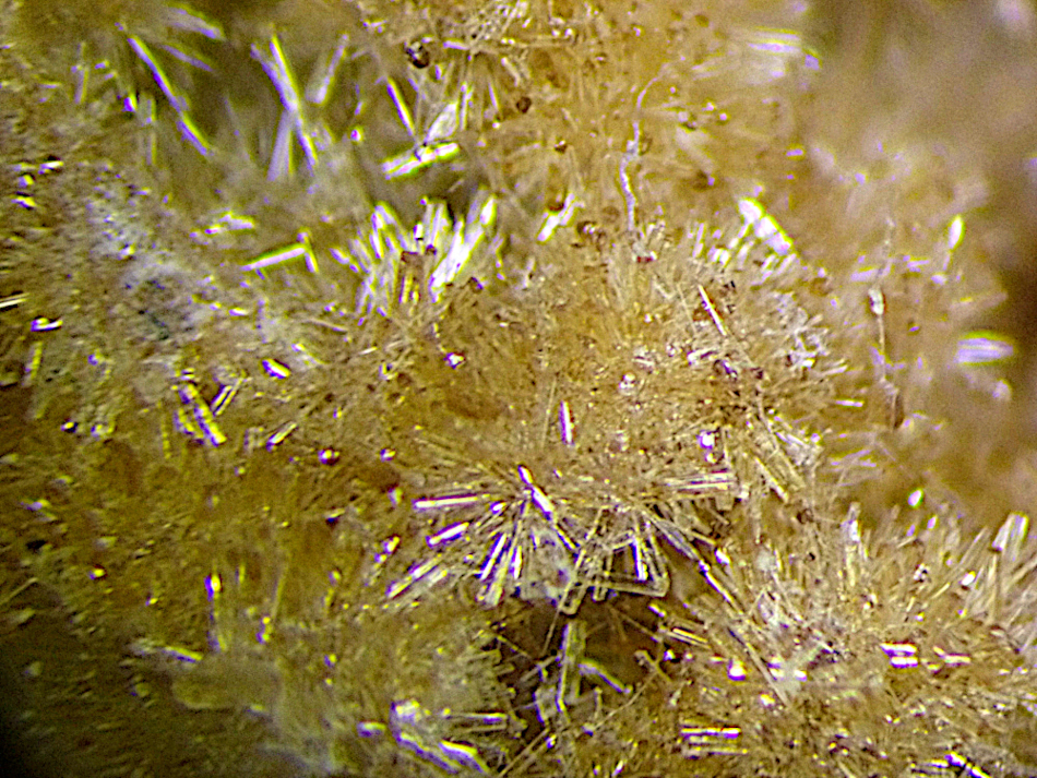 Rimkorolgite