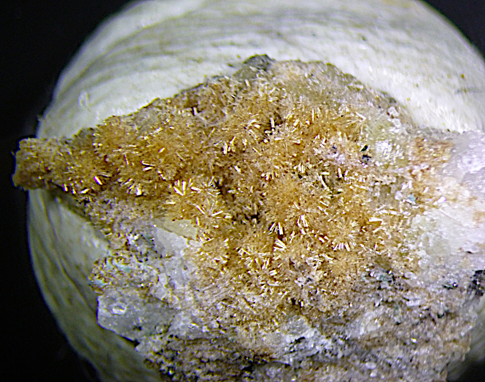 Rimkorolgite