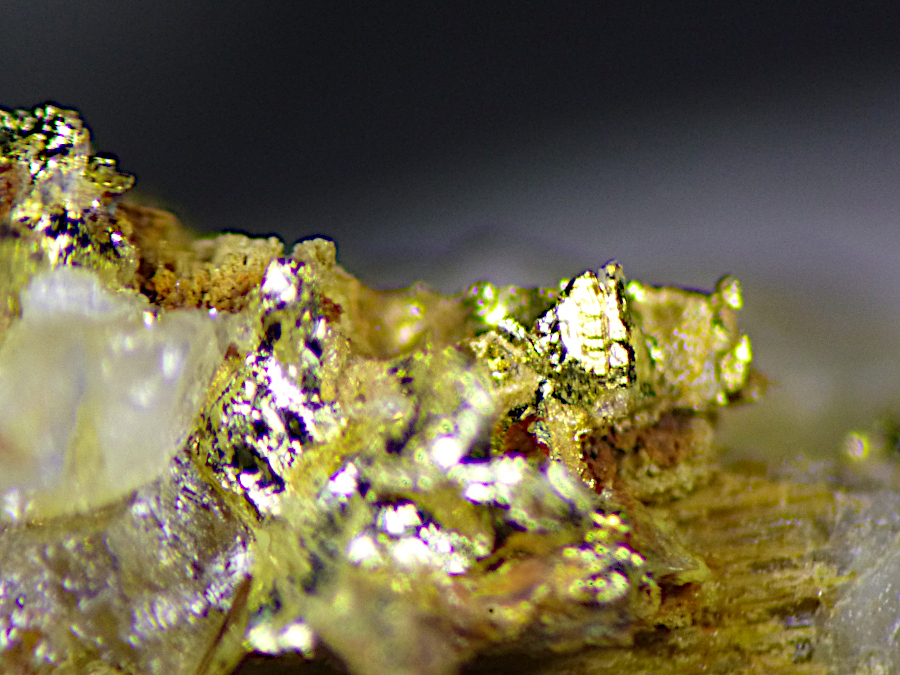 Gold